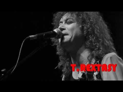 Video preview for T. Rextasy - I Love To Boogie from Youtube