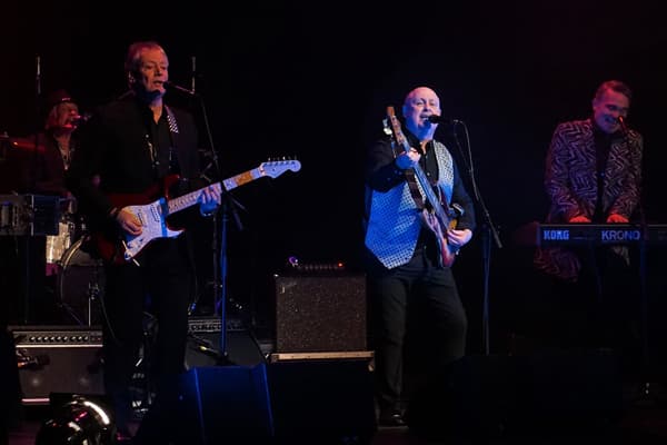 Image preview for THE FORTUNES