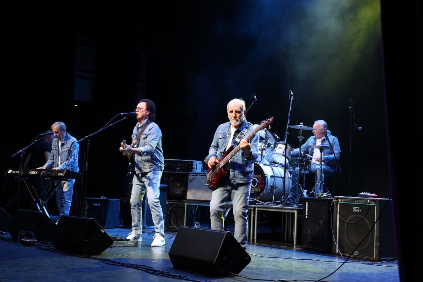 Image preview for THE SWINGING BLUE JEANS - Copy